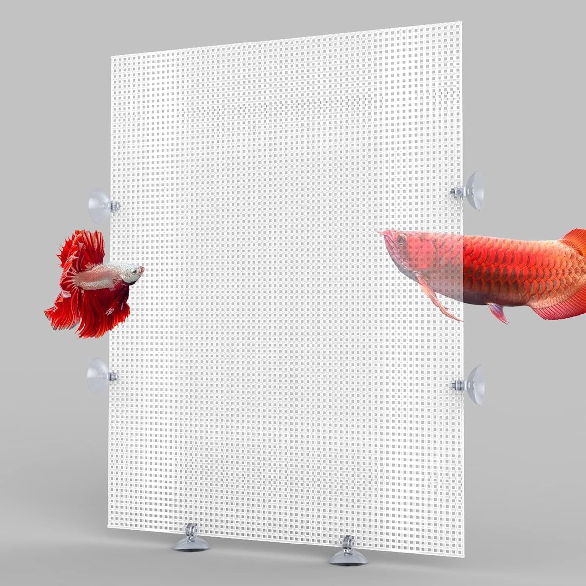 2 Stuks Aquarium Scheidingswand van Plastic met Zuignappen en Accessoires - Transparante Grondplaat voor Aquariums 33 x 44 cm, Ideaal voor Aquariumindeling en Visverzorging