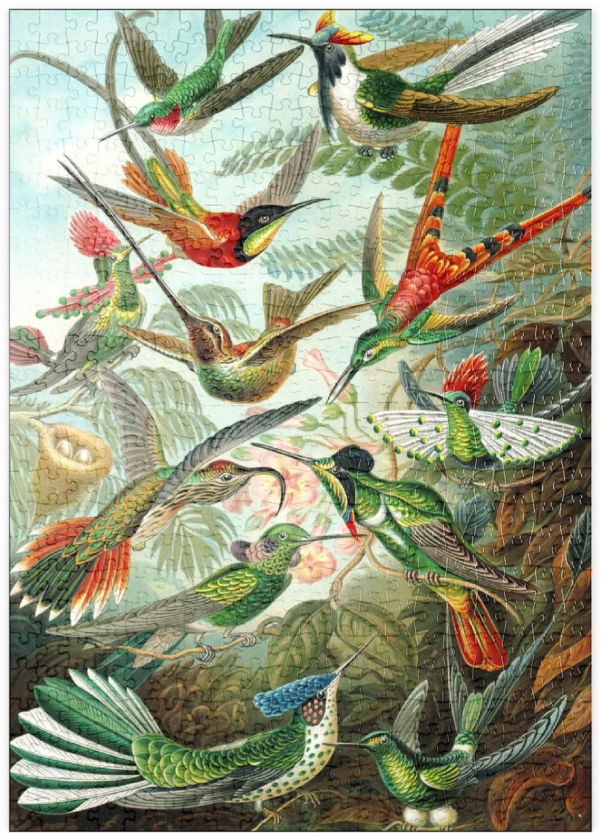 Vintage Puzzel - 500 Stukjes Hummingbirds