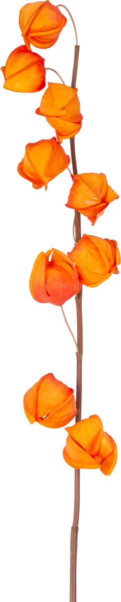 Easyplants | Kunstbloem Physalis Lampion 90 cm oranje | Zijde | Nepbloemen | oranje | Onderhoudsvrij | Kant-en-klaar