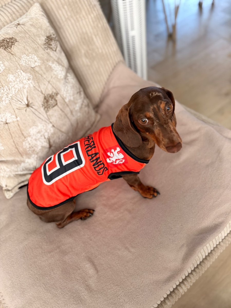 WK Shirt Hond - Oranje Honden T-shirt - Voetbal Shirt voor Honden - M