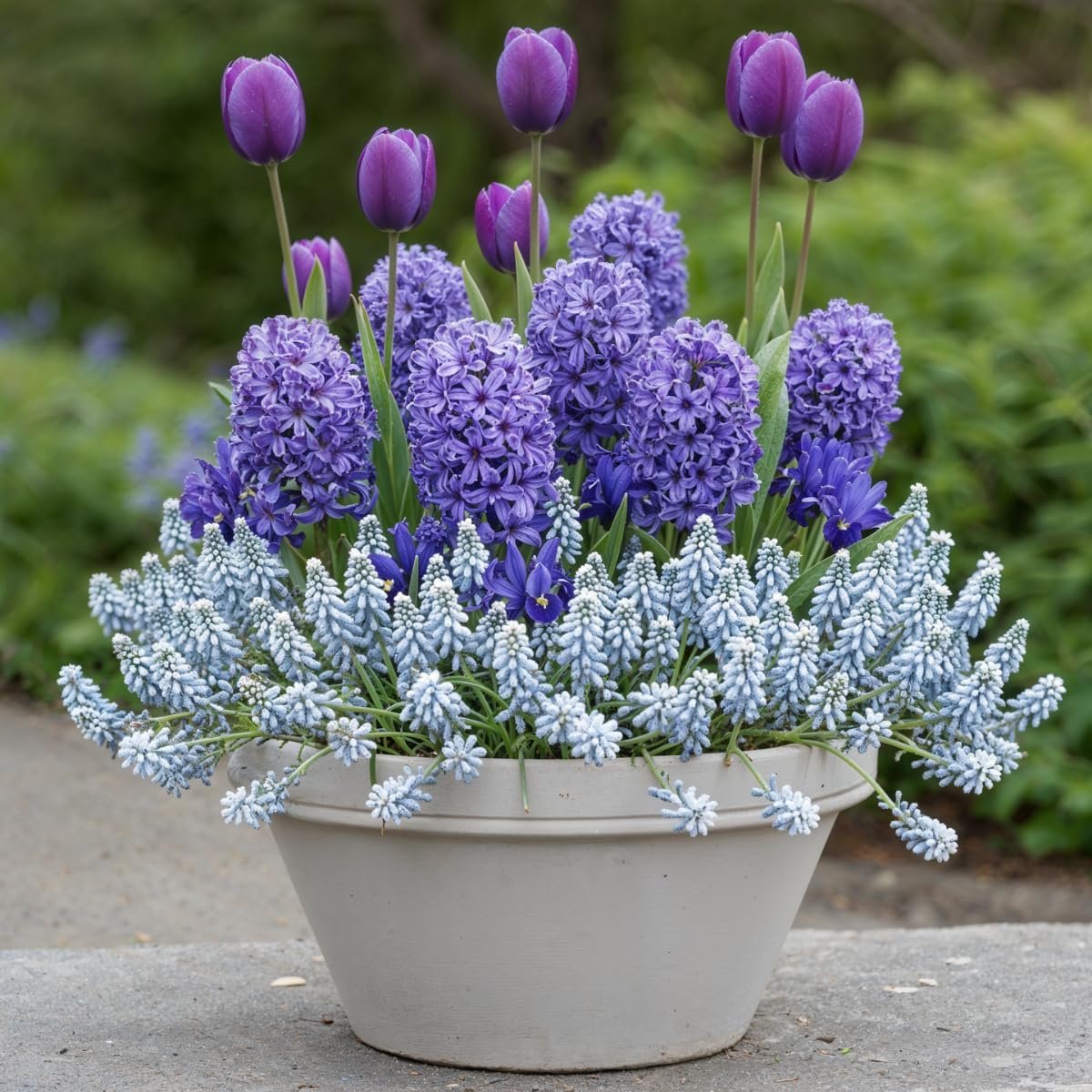 Lentebloemen Mix - 4 Soorten - 5 stuks - Bloembollen - Meerkleurig - Bloem bollen