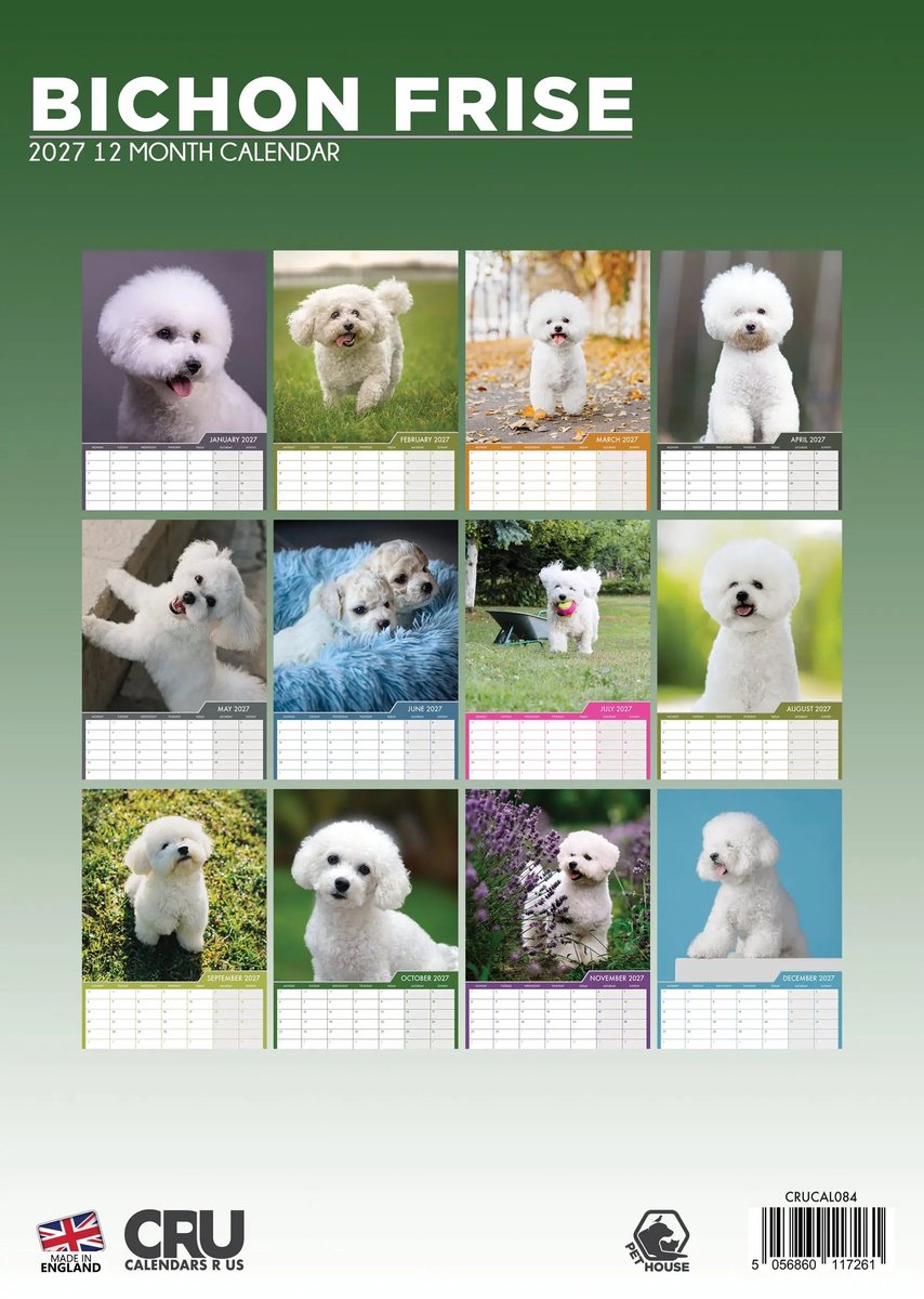 Bichon Frise A3 Kalender 2027