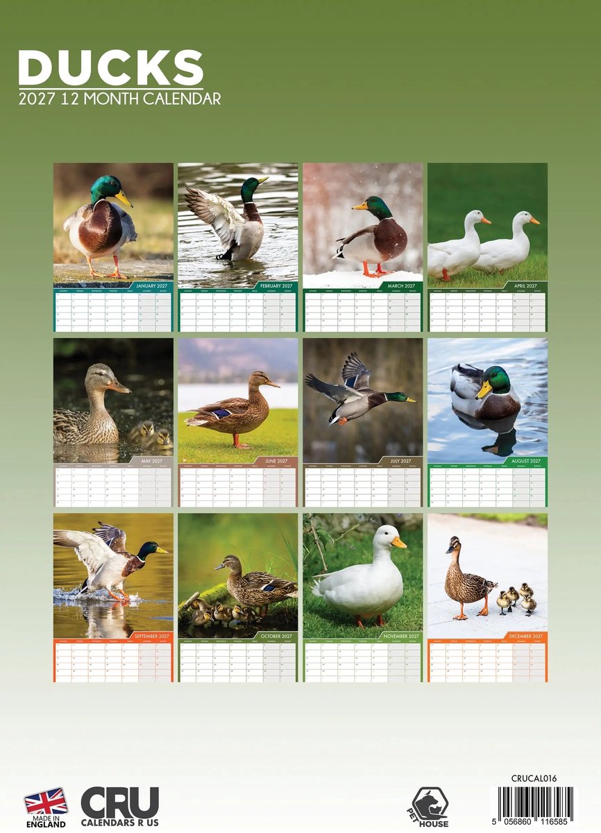 Eenden A3 Kalender 2027
