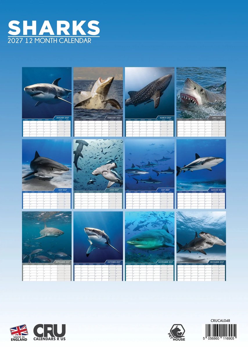 Haaien A3 Kalender 2027