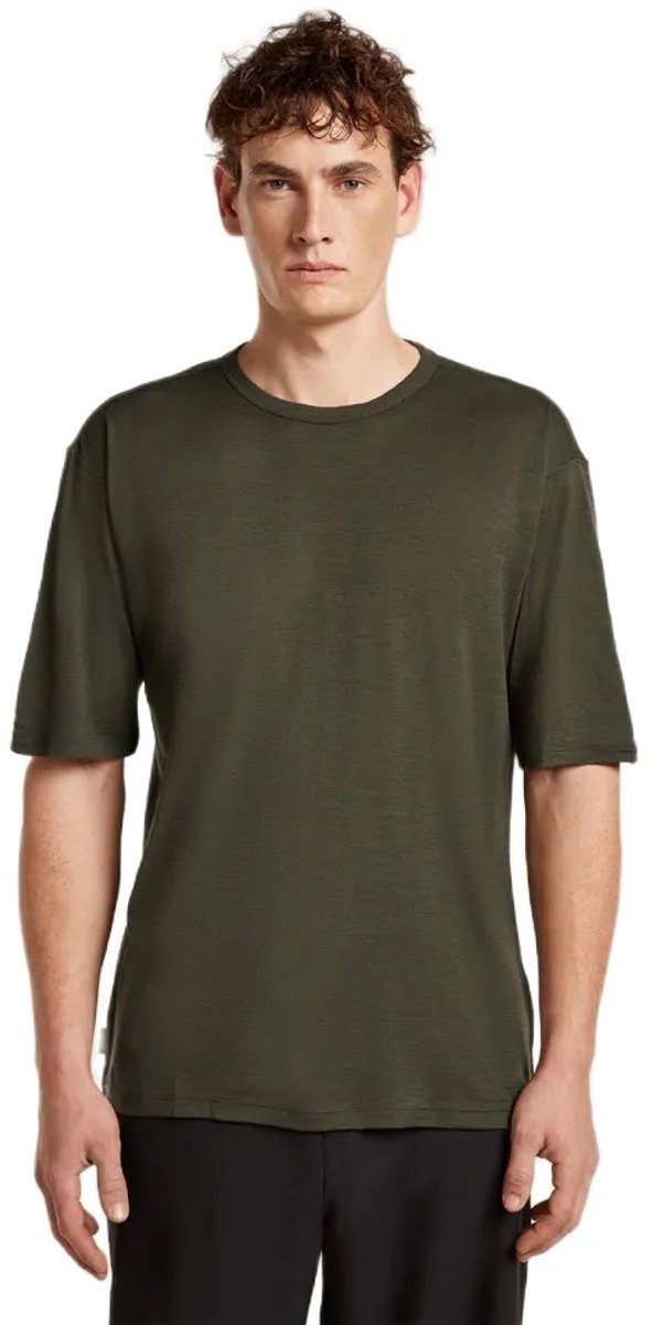 Icebreaker Merino 150 Tech Lite Relaxed T-shirt Met Korte Mouwen Groen L Man