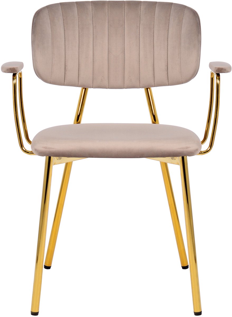 Padiro eetkamerstoelen set van 2 - taupe - fluweel - met armleuningen - ijzeren onderstel - retro
