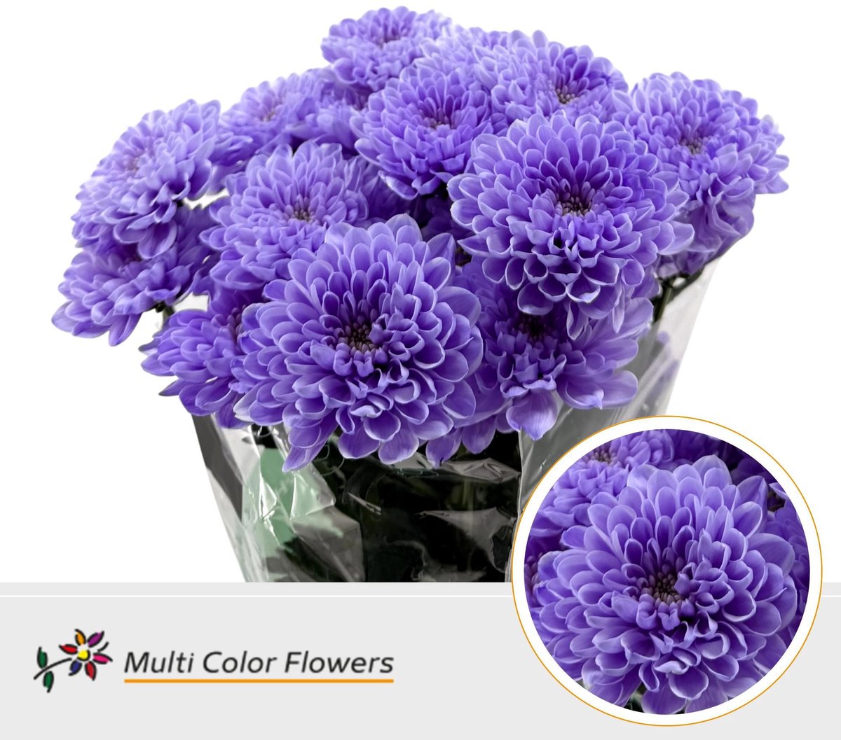 10x Chrysant overig 60cm