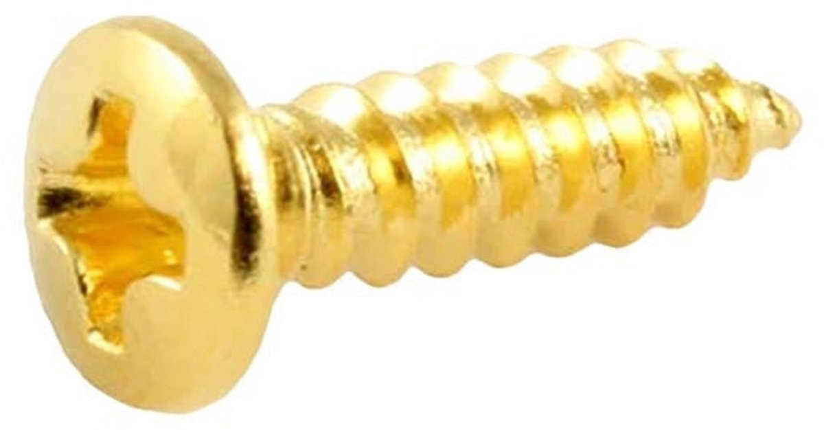 Allparts GS0001B02 100-delige Gouden Pickguard Schroeven