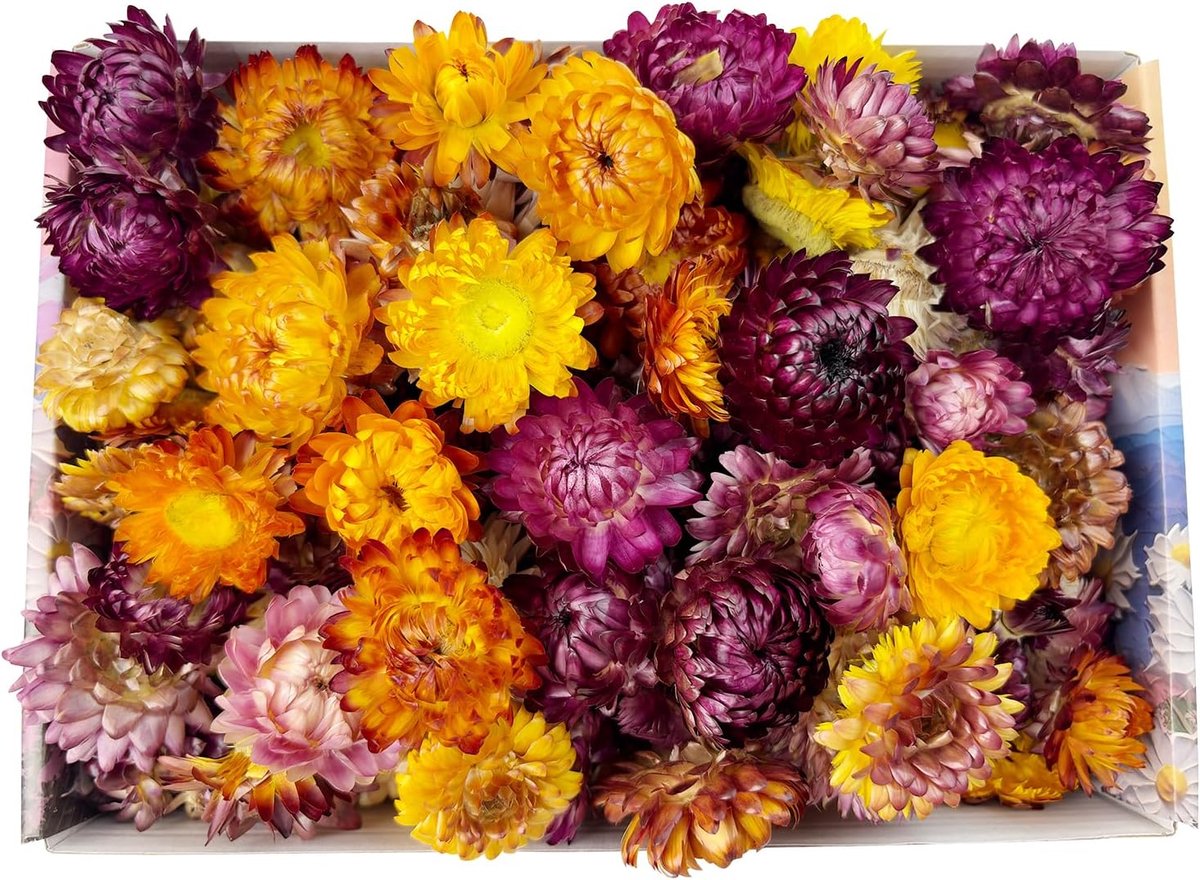 Gedroogde Strobloemen 100g, Mix van Natuurlijke Kleuren, DIY | Gedroogde Bloemen voor Kaarsen Maken, Zeepjes, Epoxy Hars en Decoratie