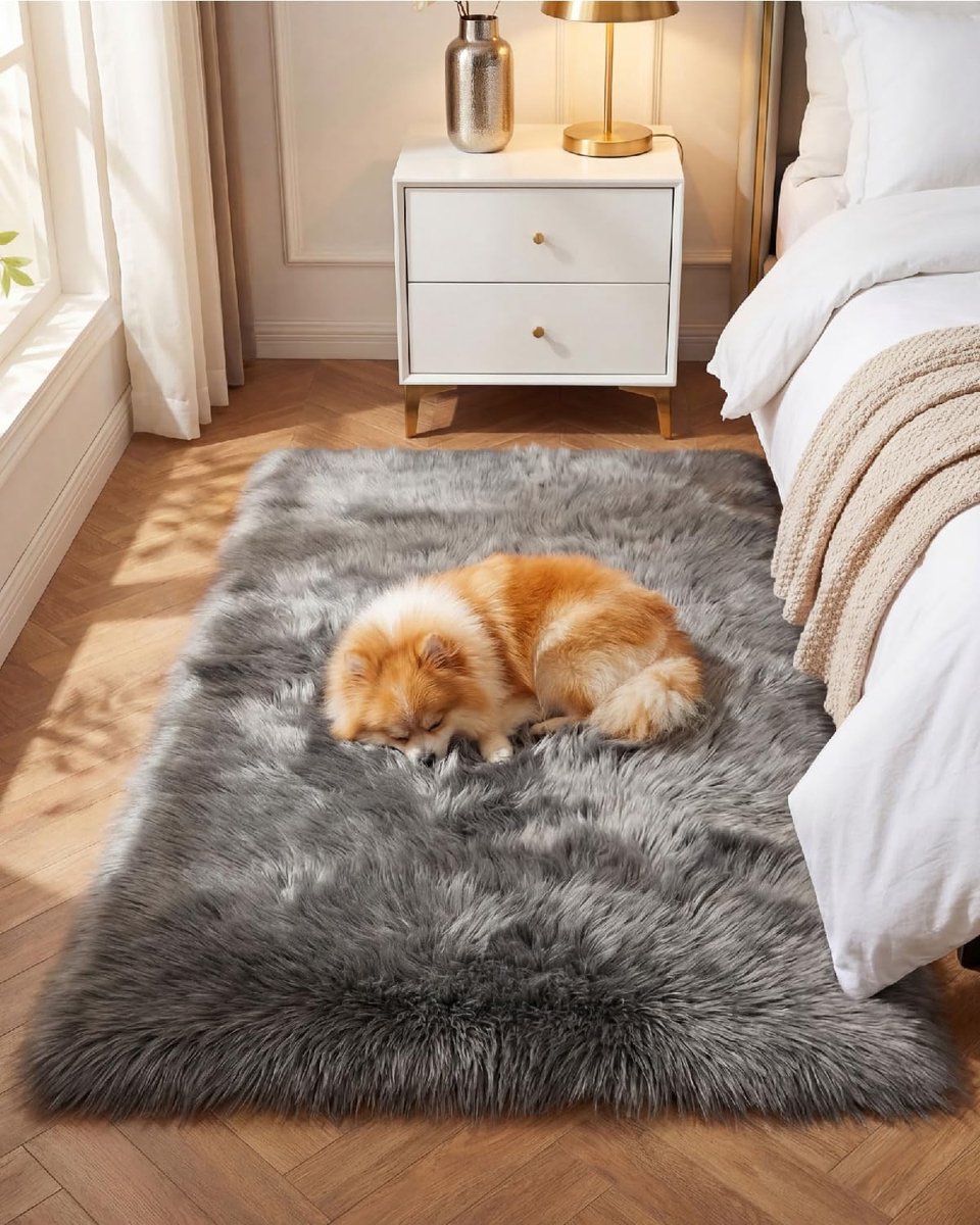 Vloerkleden voor slaapkamer 80 x 150 cm, grijze vloerkleden voor woonkamer met antislip, moderne superzachte dikke pool, klein pluizig ruig vloerkleed, niet pluizend