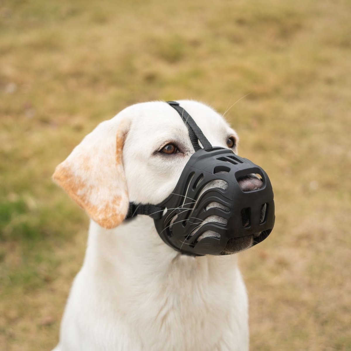 Hondenmuilkorf Voor Grote Honden Siliconen Hond Muilkorf,Honden Kunnen Hijgen en Drinken, Voorkomt Bijten, Kauwen en Blaffen (zwart, L)