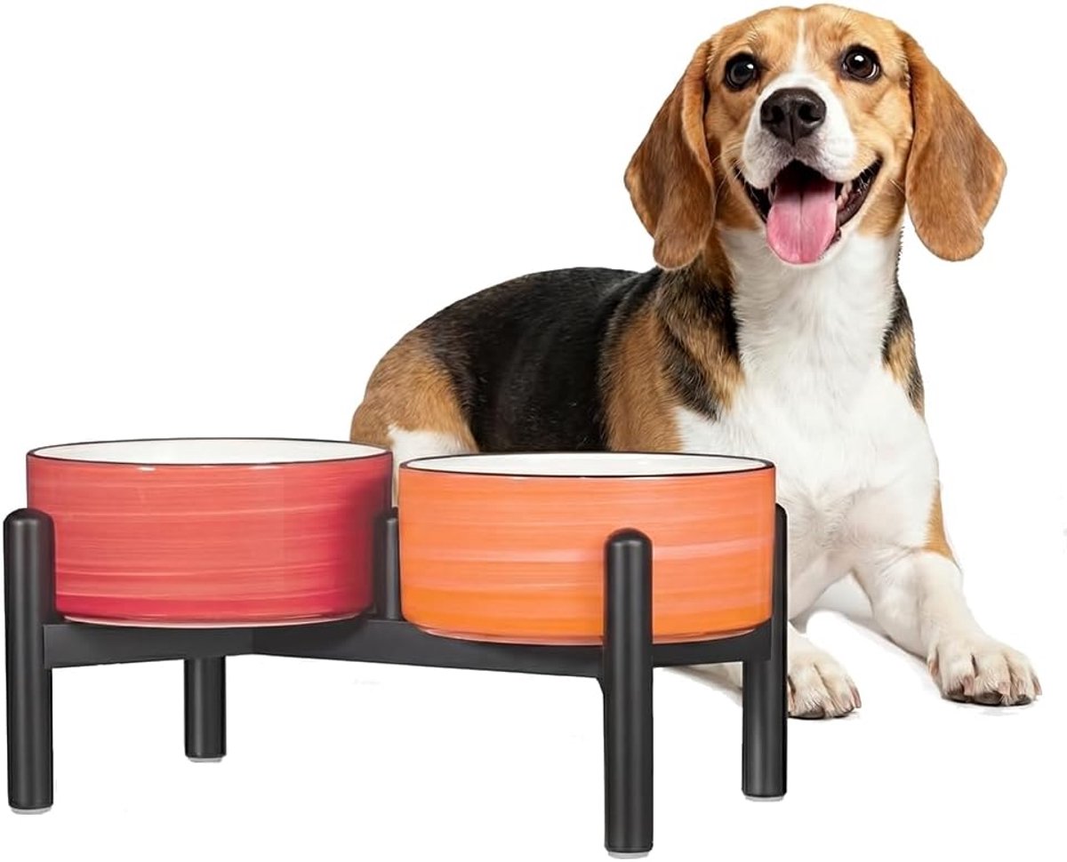 hondenbak verhoogd met roestvrijstalen standaard, mooie dubbele voerbak voor kleine en middelgrote honden, antislip, set voor voer en water, 350 g/660 ml, Sunset Duo