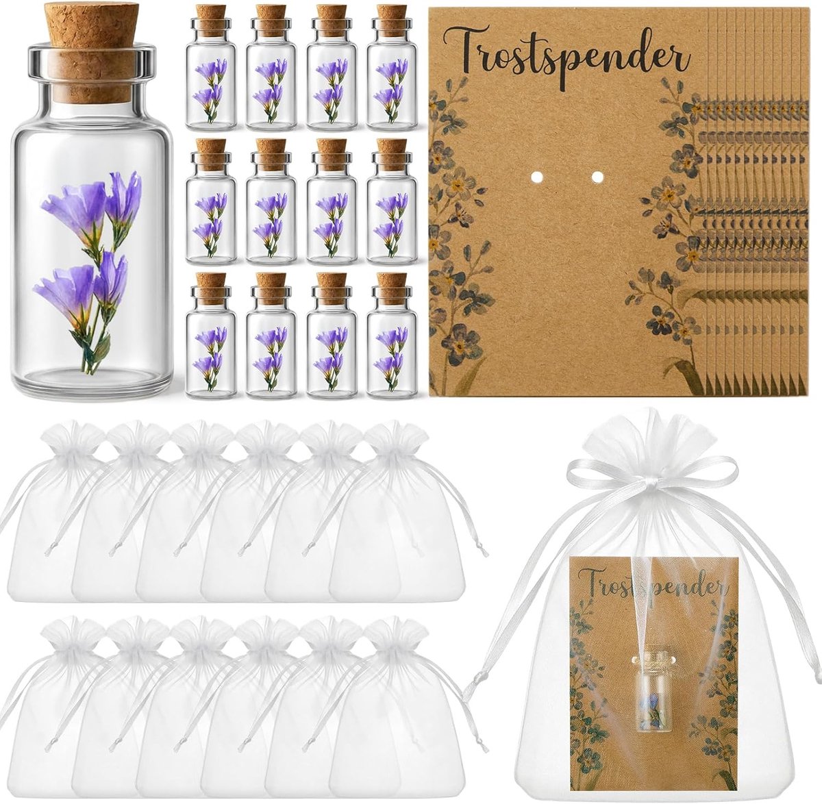 12 Set Troostgeschenk Vergeet-Me-Nietjes in Een Potje Wenskaart Doeltas Henneptouw Afscheidscadeau Voor Collega Vrienden of Leraren Opvrolijkingsgeschenk Klein Teken Van Troost
