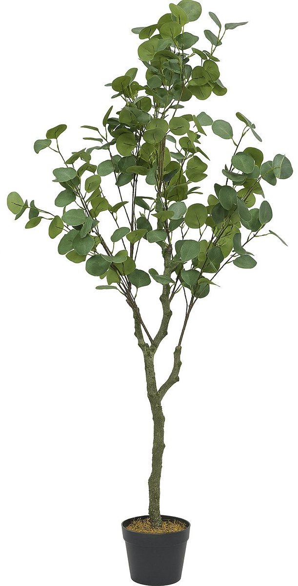 Kunstplant Eucalyptus