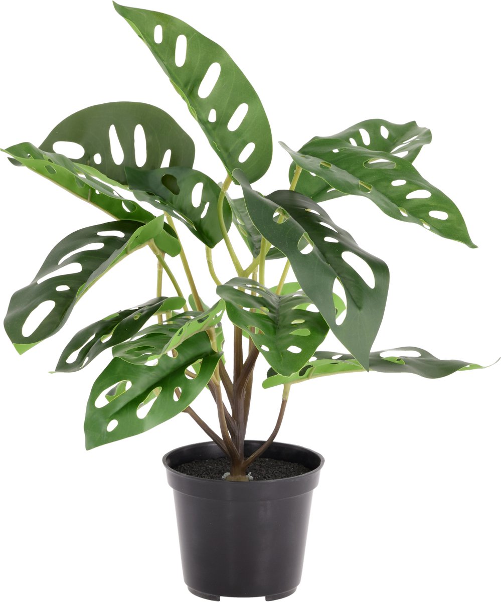 Monstera Adansonii kunstplant 30cm in kweekpot