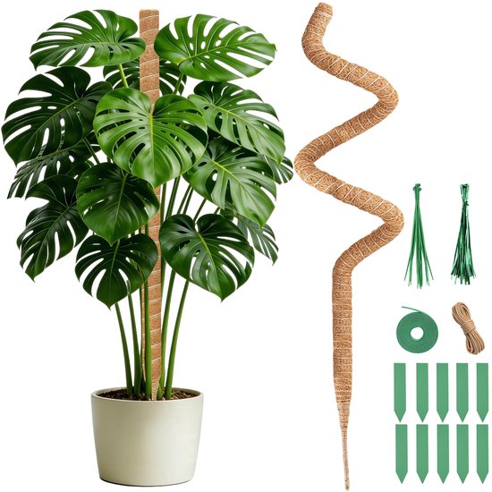 125 cm Monstera Klimplantsteun van Kokosvezel