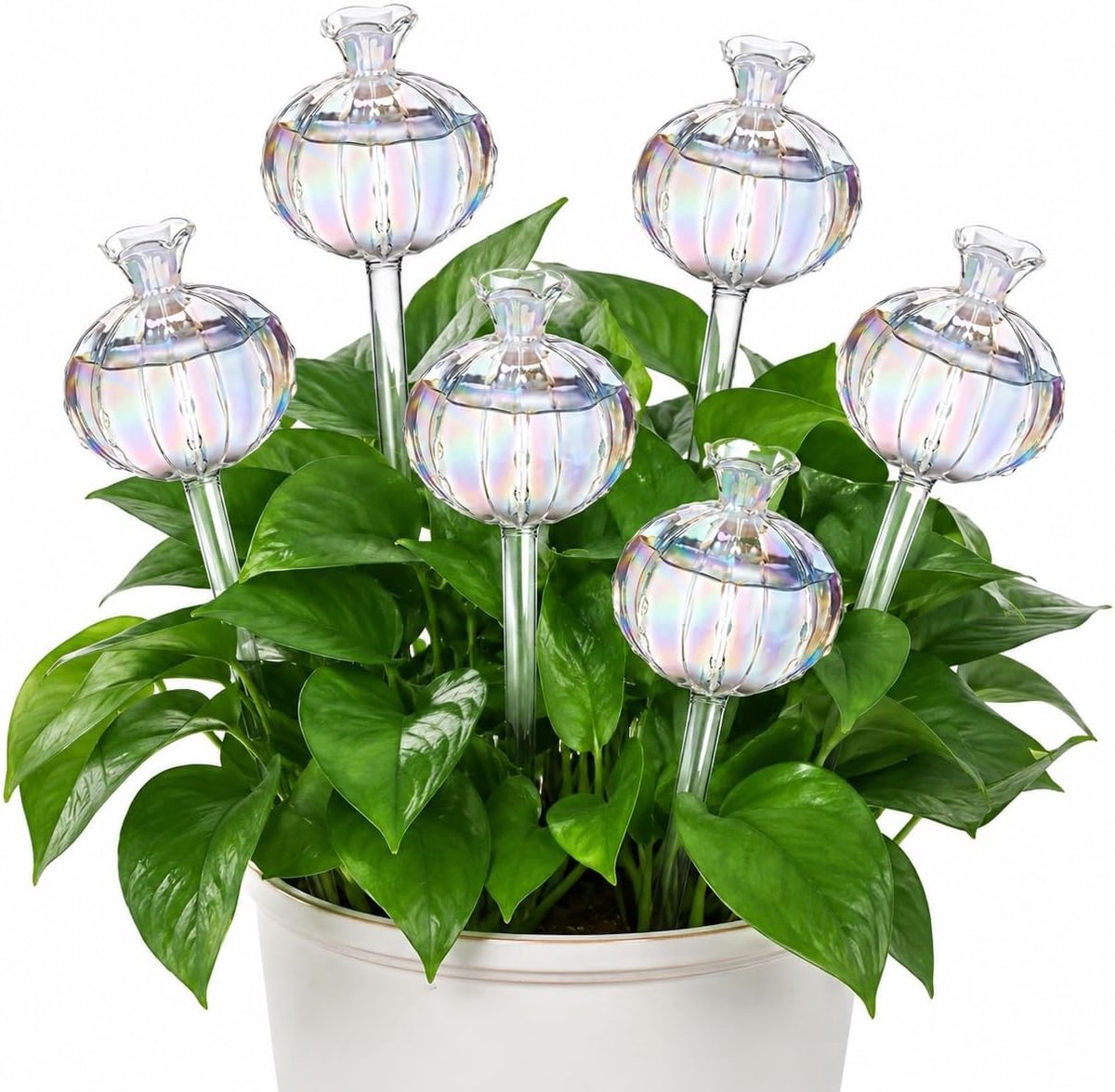 Set van 6 Cactus Glazen Watergeefballen, Automatische Irrigatie voor Binnen en Buiten, Decoratieve Watergeefhulpmiddelen voor Planten, Zelfwaterende Tuinaccessoires, 3 x