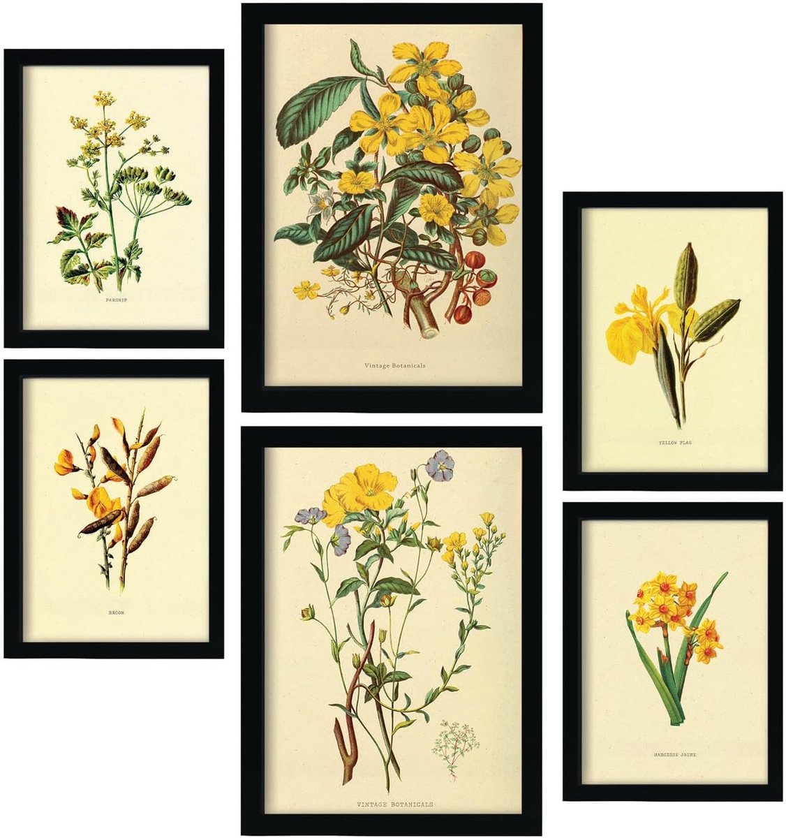 SnelShoppen - Set van 6 Gele Bloemen Posters, Vintage Prints A3 & A4, Esthetische Wanddecoratie voor Woonkamer en Slaapkamer, Decoratieve Muurkunst