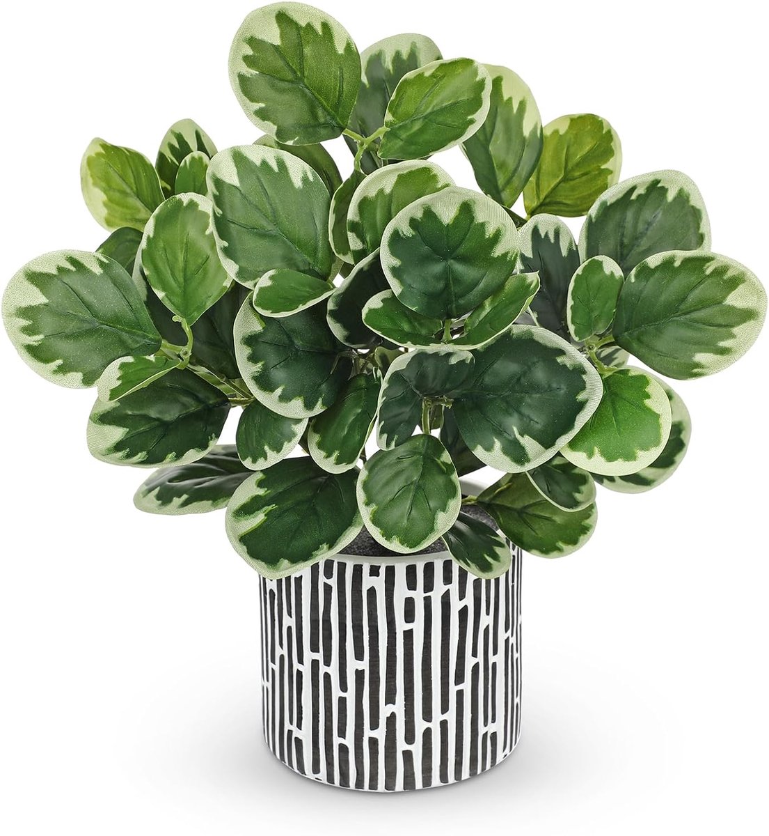 SnelShoppen - Kunstplanten in pot, Kunstmatige Peperomia met Muntbladeren, Decoratie voor Desktop, Bonsai, Kunstplanten met Potten, Tafeldecoratie voo