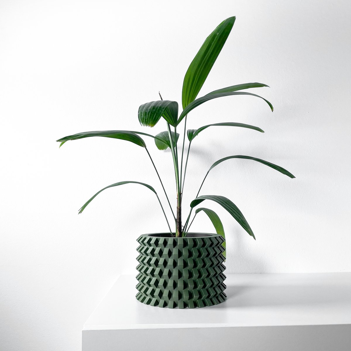 Skushy Rilvo Bloempot - Moderne Designpot voor Kamerplanten - Sculpturale Plantenpot voor Woonkamer en Kantoor - Premium Woondecoratie