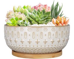 SnelShoppen - 20.5CM Keramische Succulente Planter Potten Met Drainage Gat - Ronde Ondiepe Bonsai Bloempot - Hoogwaardig Geglazuurd Keramiek - Wit - P