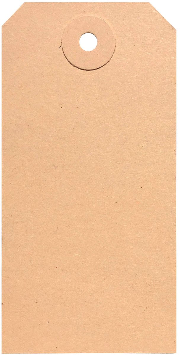 Omgoods - Set van 1000 Labels 60 x 120 mm met Versterkte Oogjes