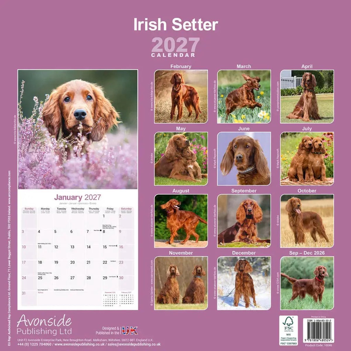 Ierse Setter Kalender 2027