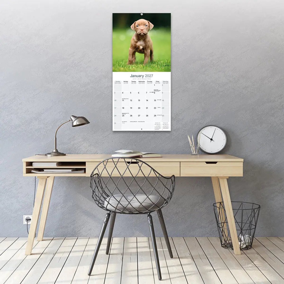 American Pit Bull Terrier Kalender 2027