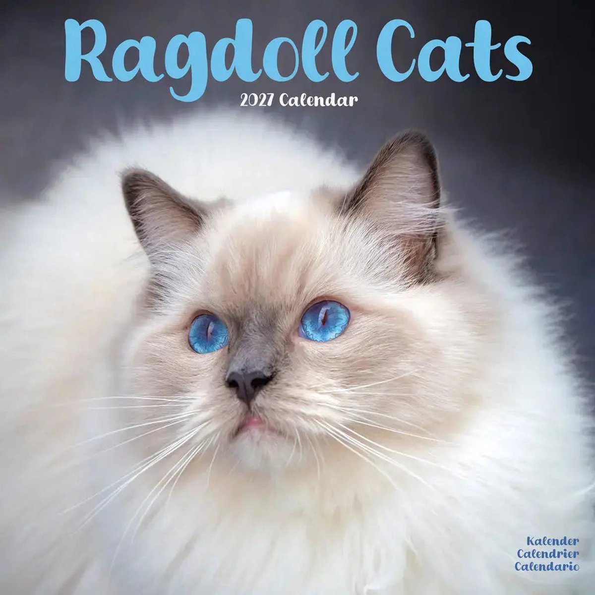 Ragdoll Kalender 2027