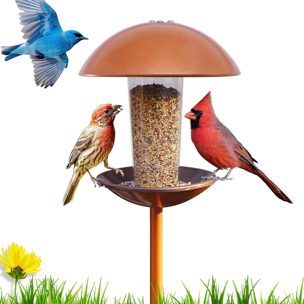Vogelvoederhuis met standaard voor wilde vogels buiten, waterdicht vogelhuis voor vogels vogelvoer, staand voor tuin, terras, balkon, cadeau voor vrouwen, mannen, moeders