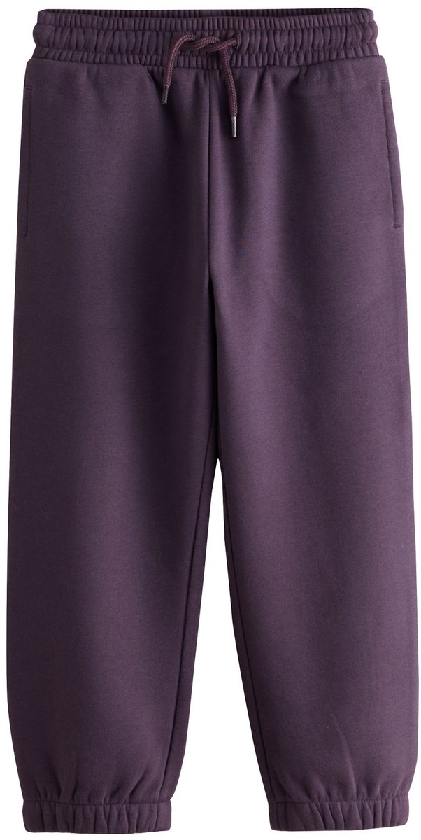Next - Jongens - Joggingbroek met standaard pasvorm - Paars
