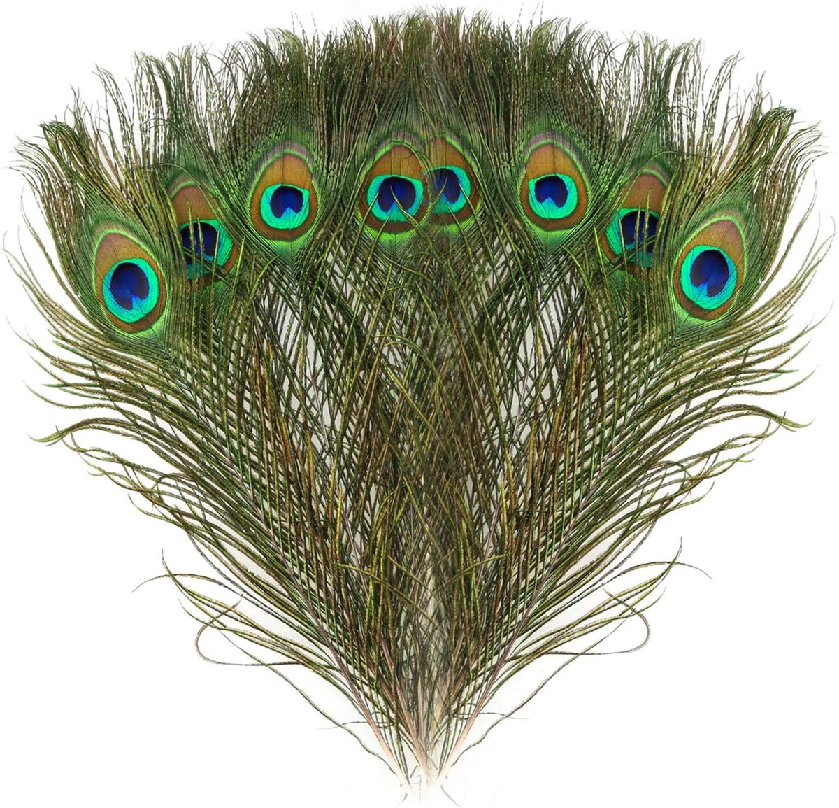 Veren, pauwenveren, staartveren, voor thuisdecoratie, voor decoratie van doe-het-zelf carnaval, Venetië, alle festivals, Halloween, handwerk, leveringen (28-32 cm)