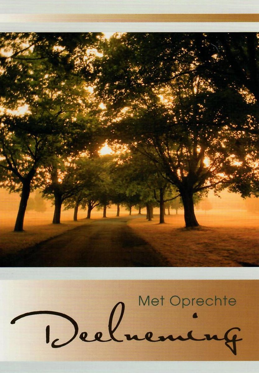 Condoleance kaart | Wenskaart | 10 stuks | Met oprechte deelneming