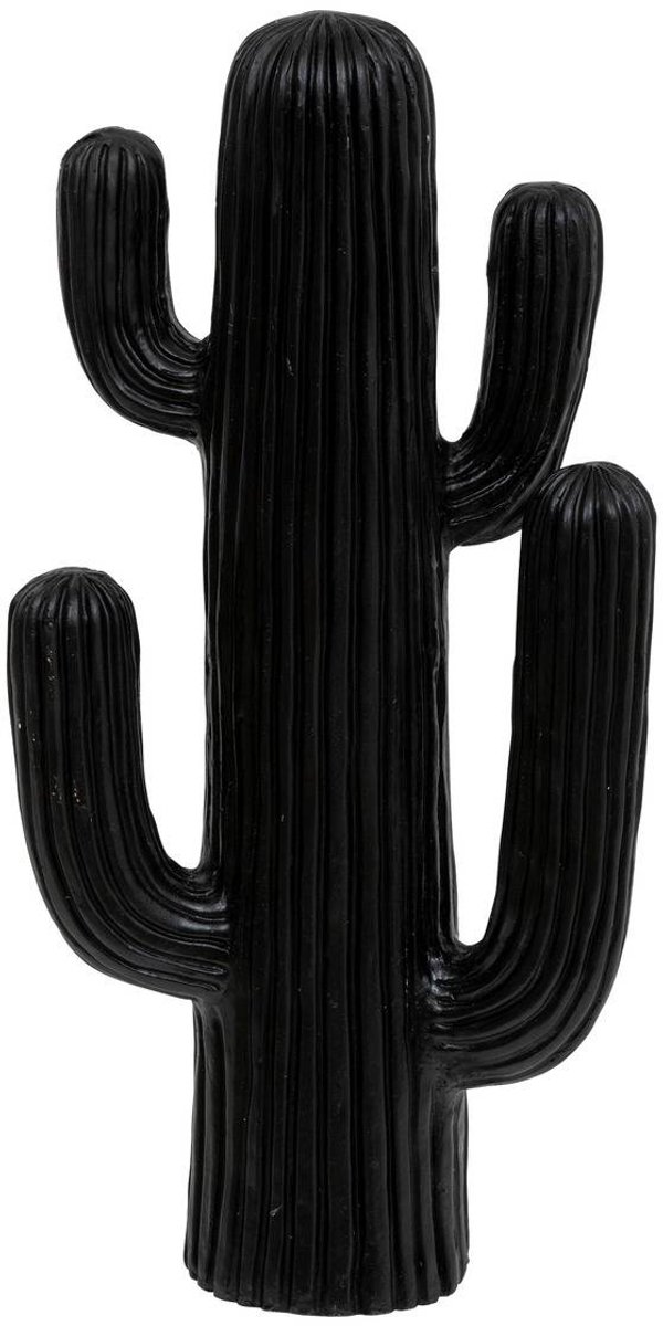 Decoratieve cactus RODRIGO