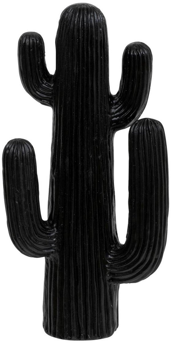 Decoratieve cactus RODRIGO