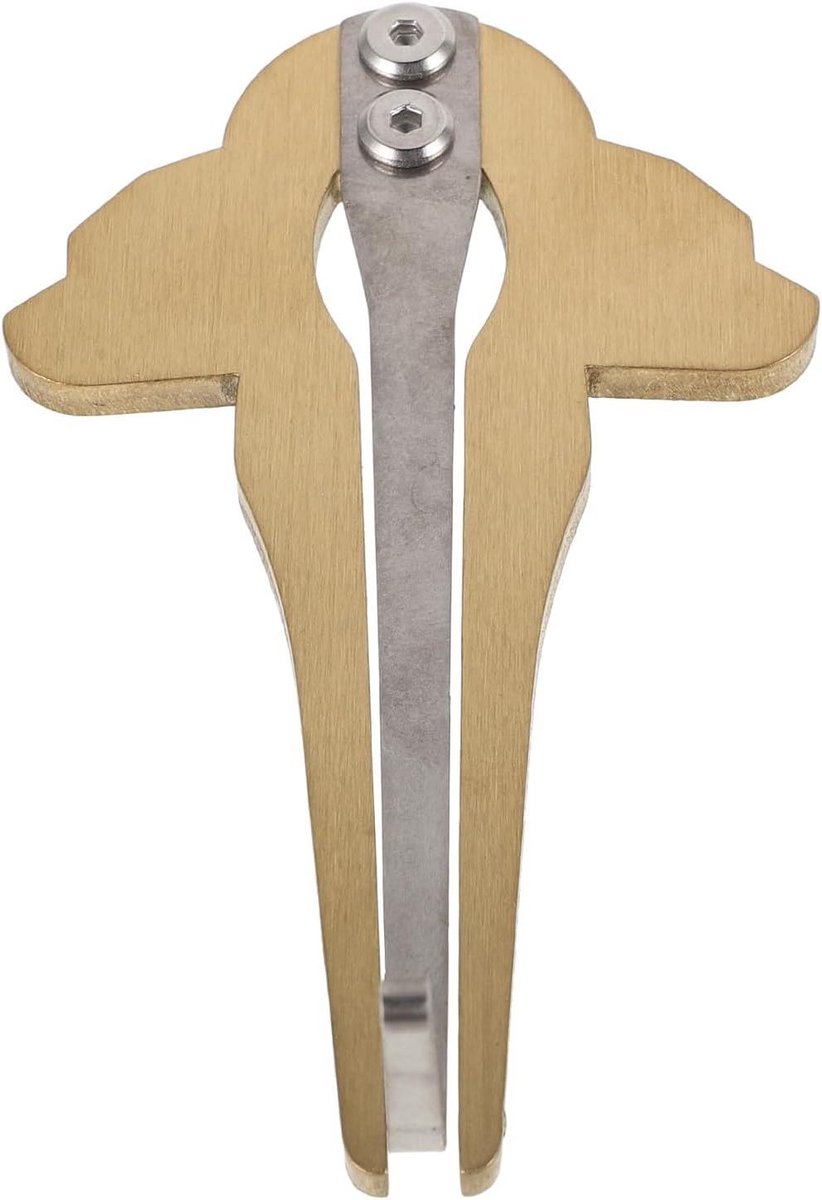 Mondharp Muziekinstrument - Lamellofoon Harp - Muziek Maken - Handgemaakt Ambachtelijk - 950 x 570 x 270 cm - Goud