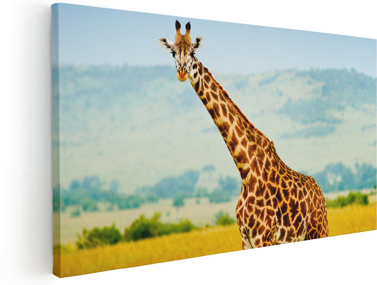 Artaza Canvas Schilderij Giraffe In Het Veld - 160x80 cm - Groot - Wanddecoratie Woonkamer - Schilderijen - Muurdecoratie