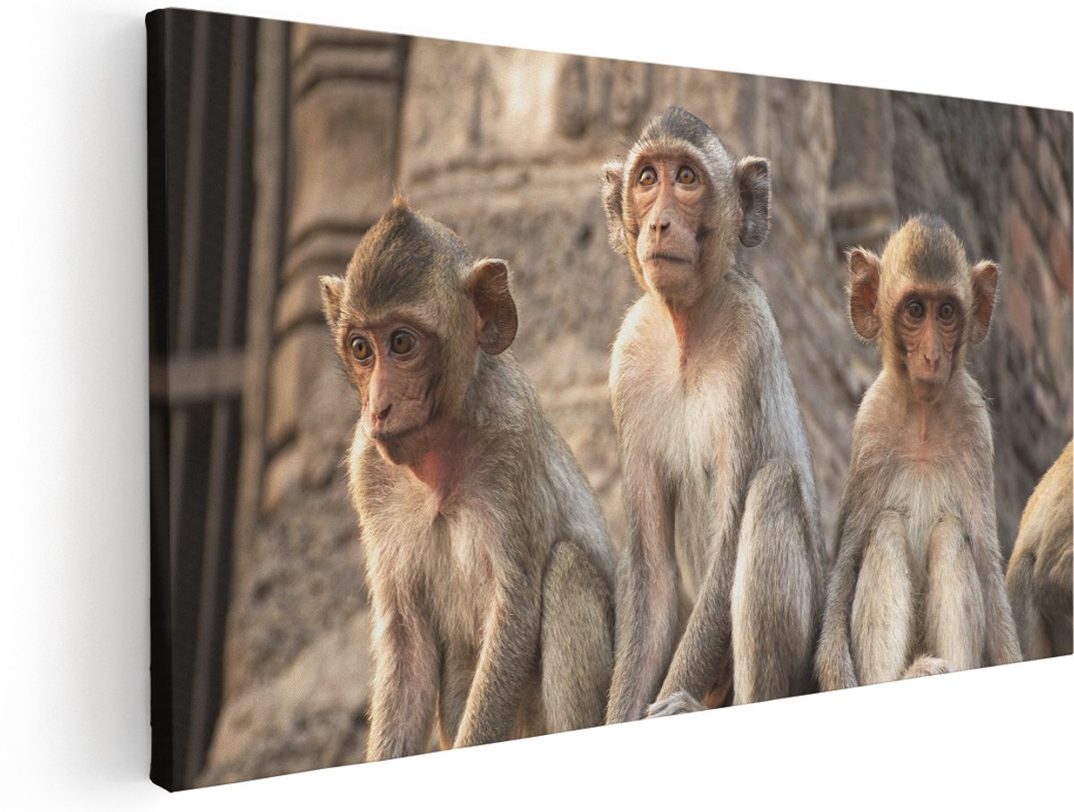 Artaza Canvas Schilderij Drie Kleine Apen Naast Elkaar - 160x80 cm - Groot - Wanddecoratie Woonkamer - Schilderijen - Muurdecoratie