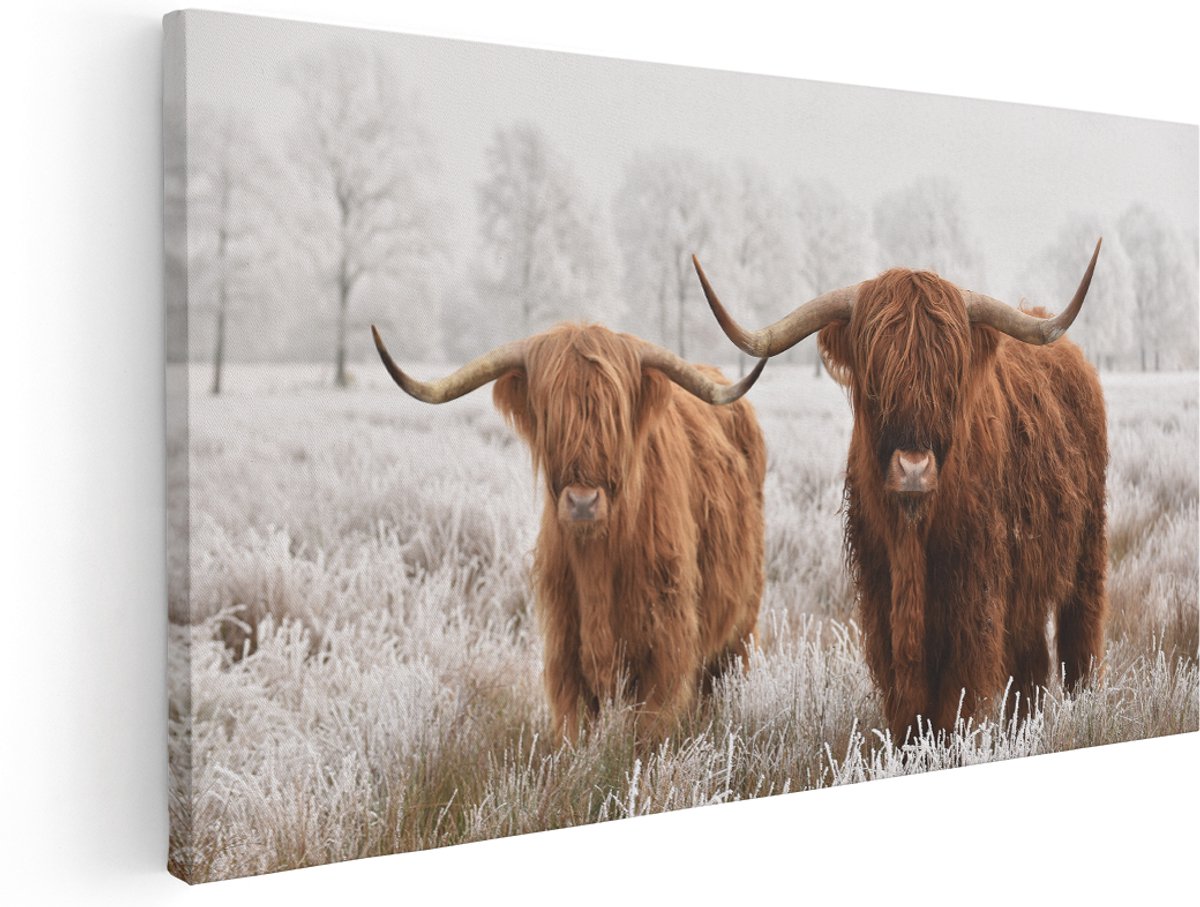 Artaza Canvas Schilderij Twee Schotse Hooglander Koeien In De Wei - 160x80 cm - Groot - Wanddecoratie Woonkamer - Schilderijen - Muurdecoratie