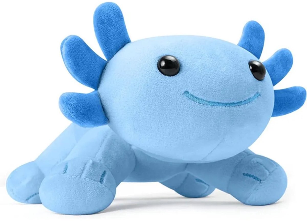Casalora Pluche Knuffel – Schattige Salamander Knuffelr – Perfect Cadeau – 27cm – Blauw