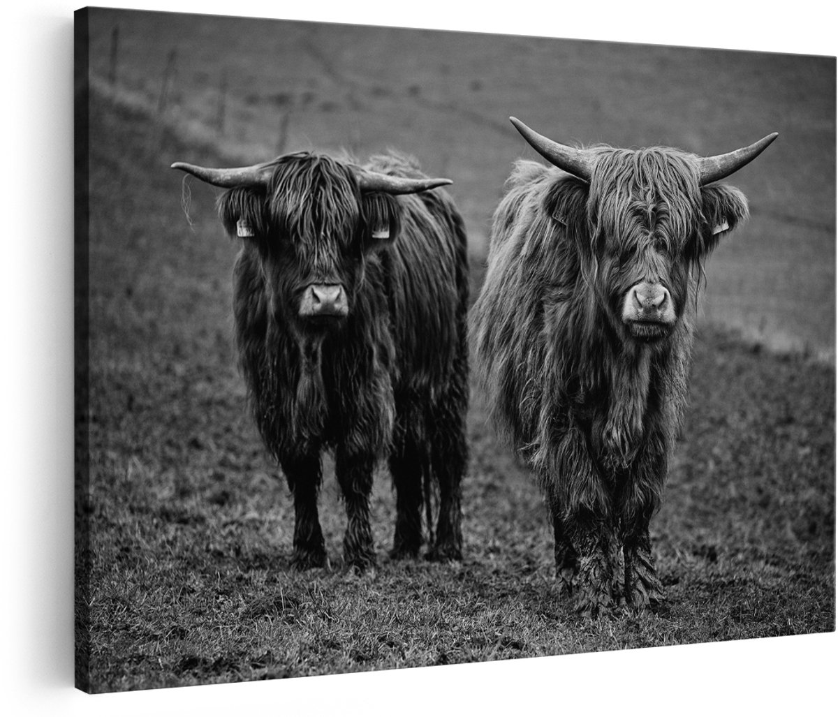 Artaza Canvas Schilderij Twee Schotse Hooglanders in de Weide - Zwart Wit - 150x100 cm - Groot - Foto Op Canvas - Wanddecoratie