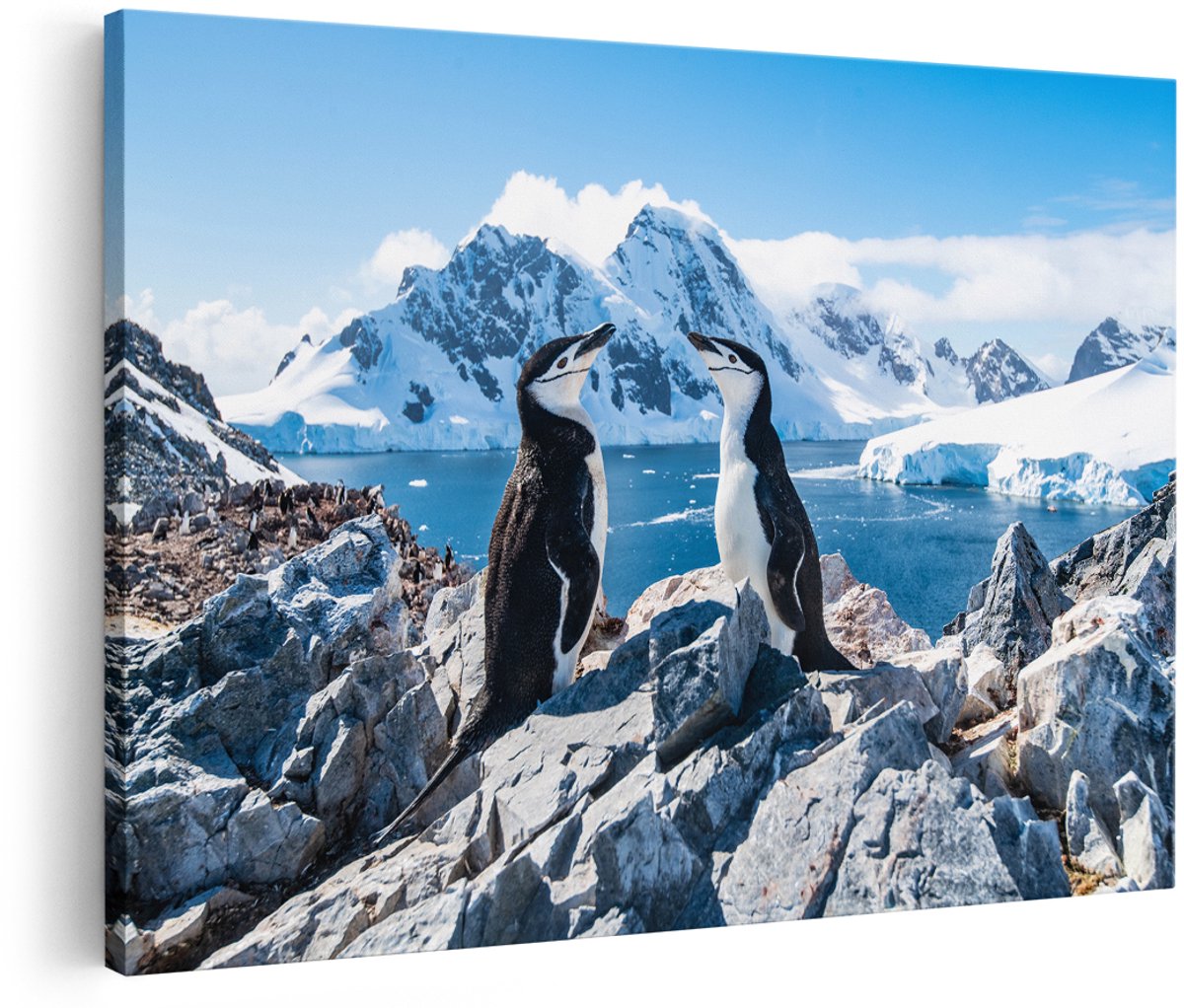 Artaza Canvas Schilderij Twee Pinguïns op Stenen in Antarctica - 150x100 cm - Groot - Foto Op Canvas - Wanddecoratie Woonkamer