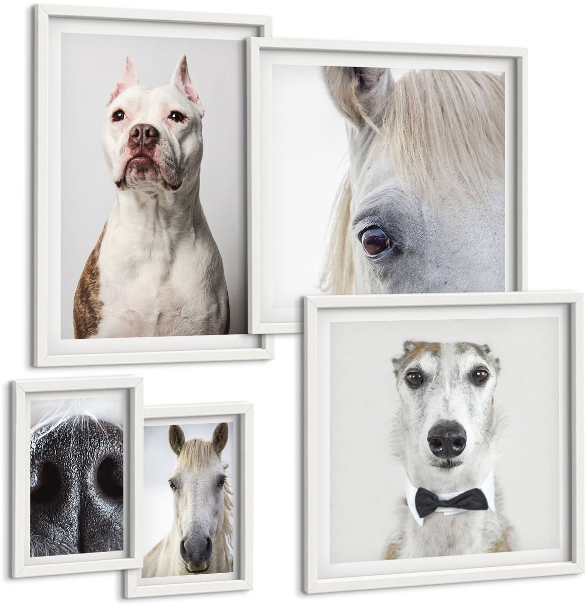 Wallfluent 5-Delige Schilderij Set - Huisdierportretten In Een Moderne Stijl - 50 x 50 cm, 20 x 30 cm En 40 x 60 cm - Wanddecoratie - Muurdecoratie - Woonkamer