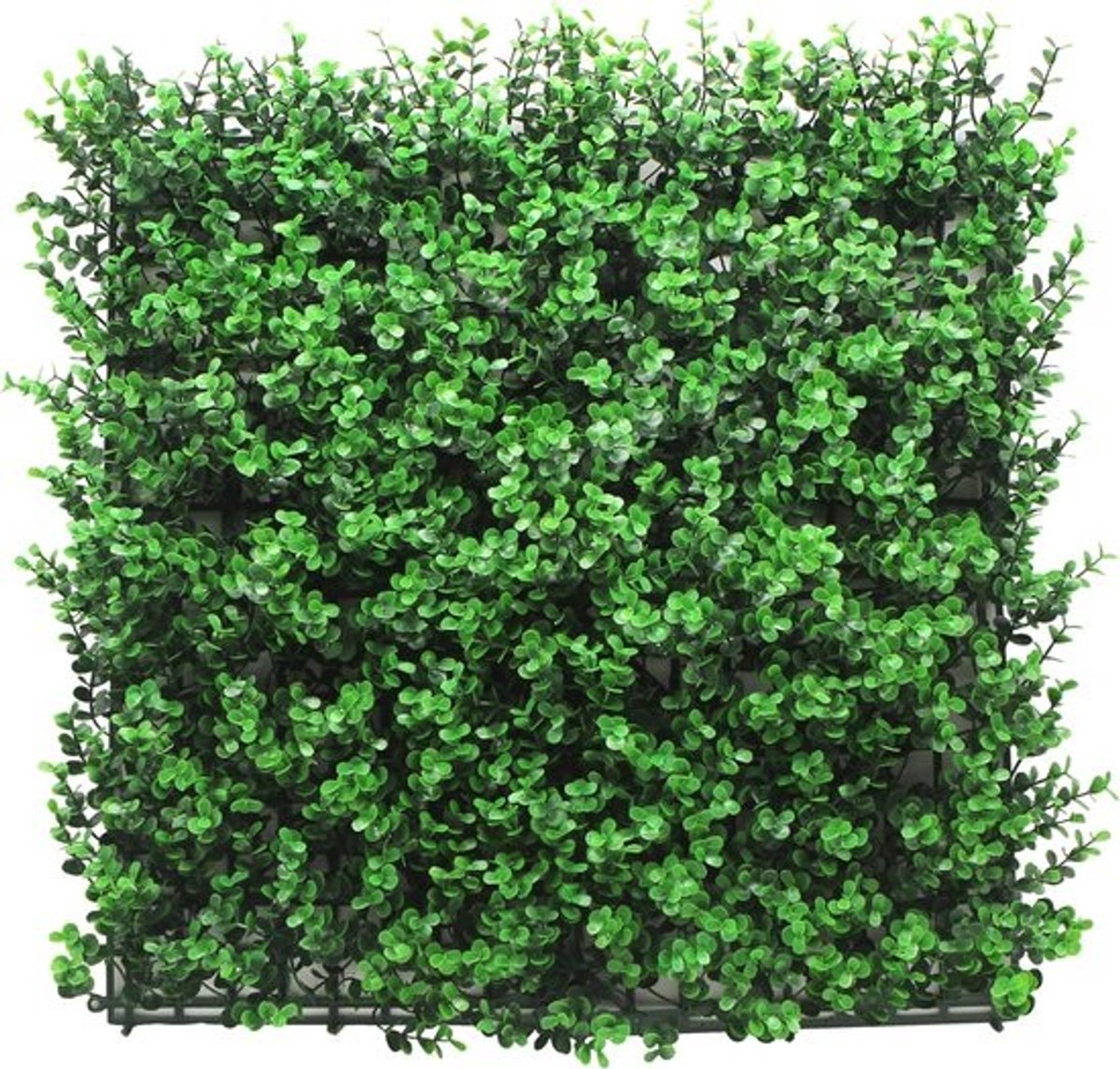 Kunsthaag Paneel voor Balkon en Tuin 50x50 cm Muurdecoratie met Realistische Groene Bladeren