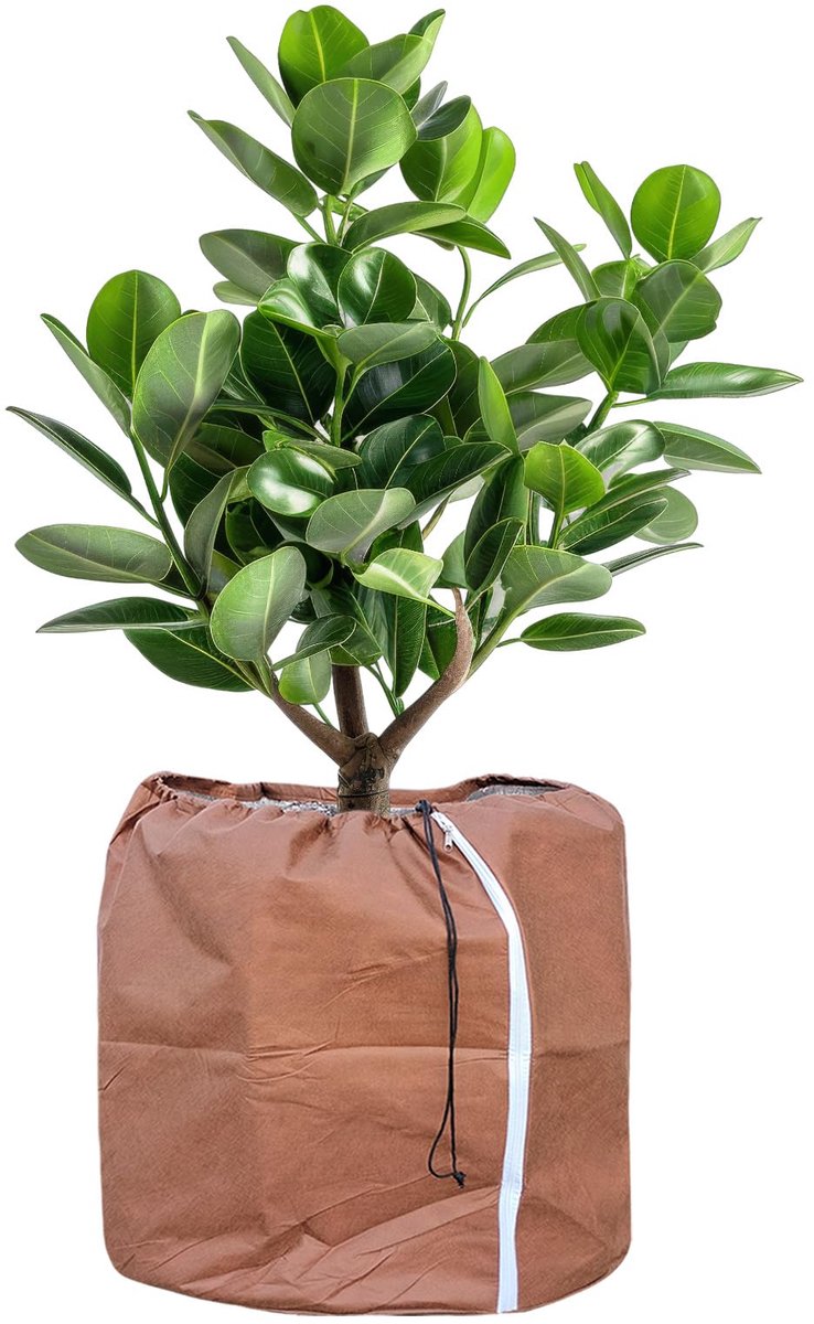 Potplantenhoes - Thermische winterbescherming met trekkoord - 40 x 40 cm