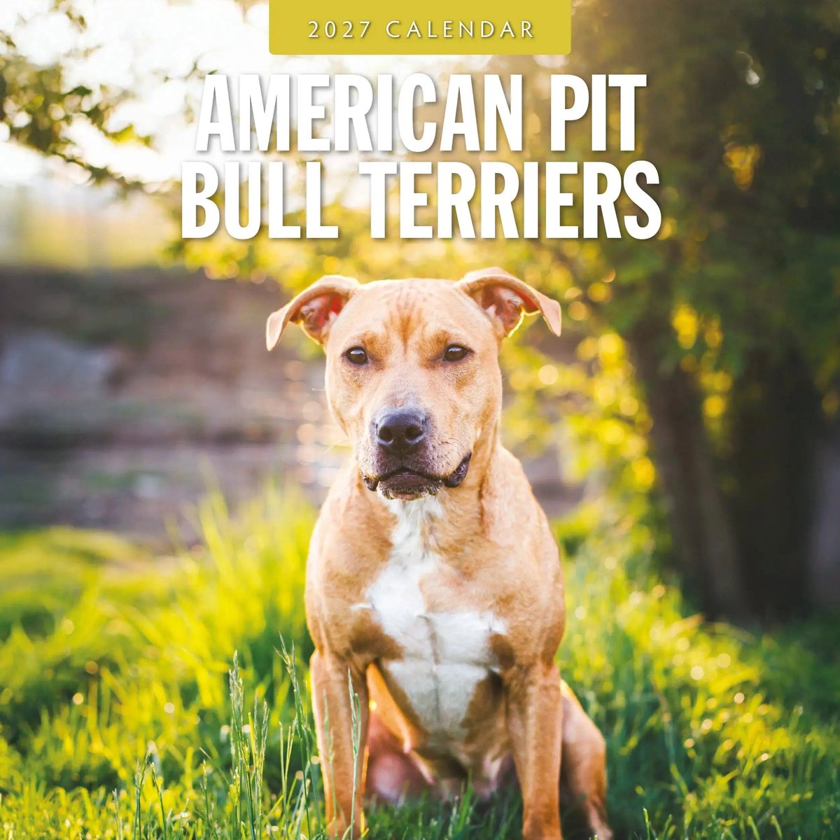 American Pit Bull Terrier Kalender 2027