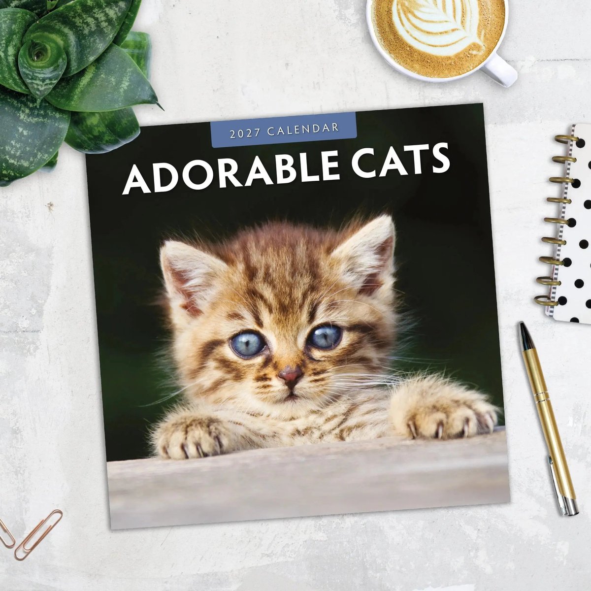 Adorable Cats Kalender 2027