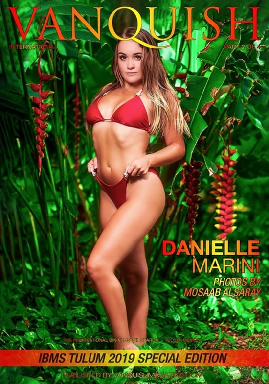 Vanquish - IBMS Tulum 2019 - Part 2 - International - cover