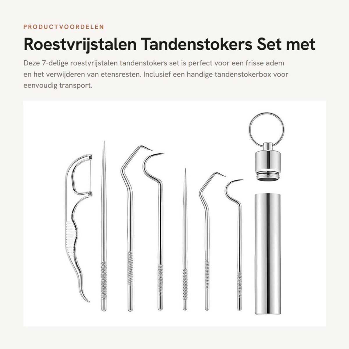Dailygoods- Tandenstokers 7-delige set - Roestvrij Staal 304 - Tandenreinigingsset - Tandenstokerbox - Draagbare Sleutelhanger - Voor Buiten/Camping - Tandenreinigers