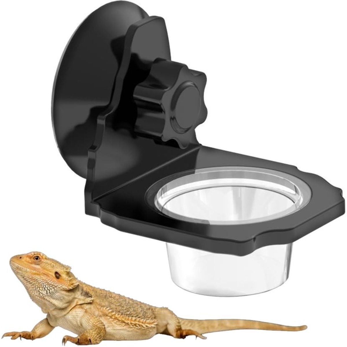Dailygoods- Voerbakje met zuignap - Hangend voerbakje - Voor hagedissen/gekko's - Hoogwaardig ABS materiaal - Eenvoudig te reinigen - Ruimtebesparend ontwerp - Reptielenvoerbak